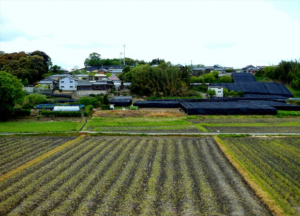 京田辺市の画像
