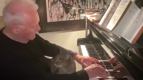 アンソニー ホプキンスのピアノ演奏に愛猫うっとり 相変わらずのラブラブっぷりを見せつける ピアノの参考書 各地域のおすすめ 評判のピアノ教室紹介